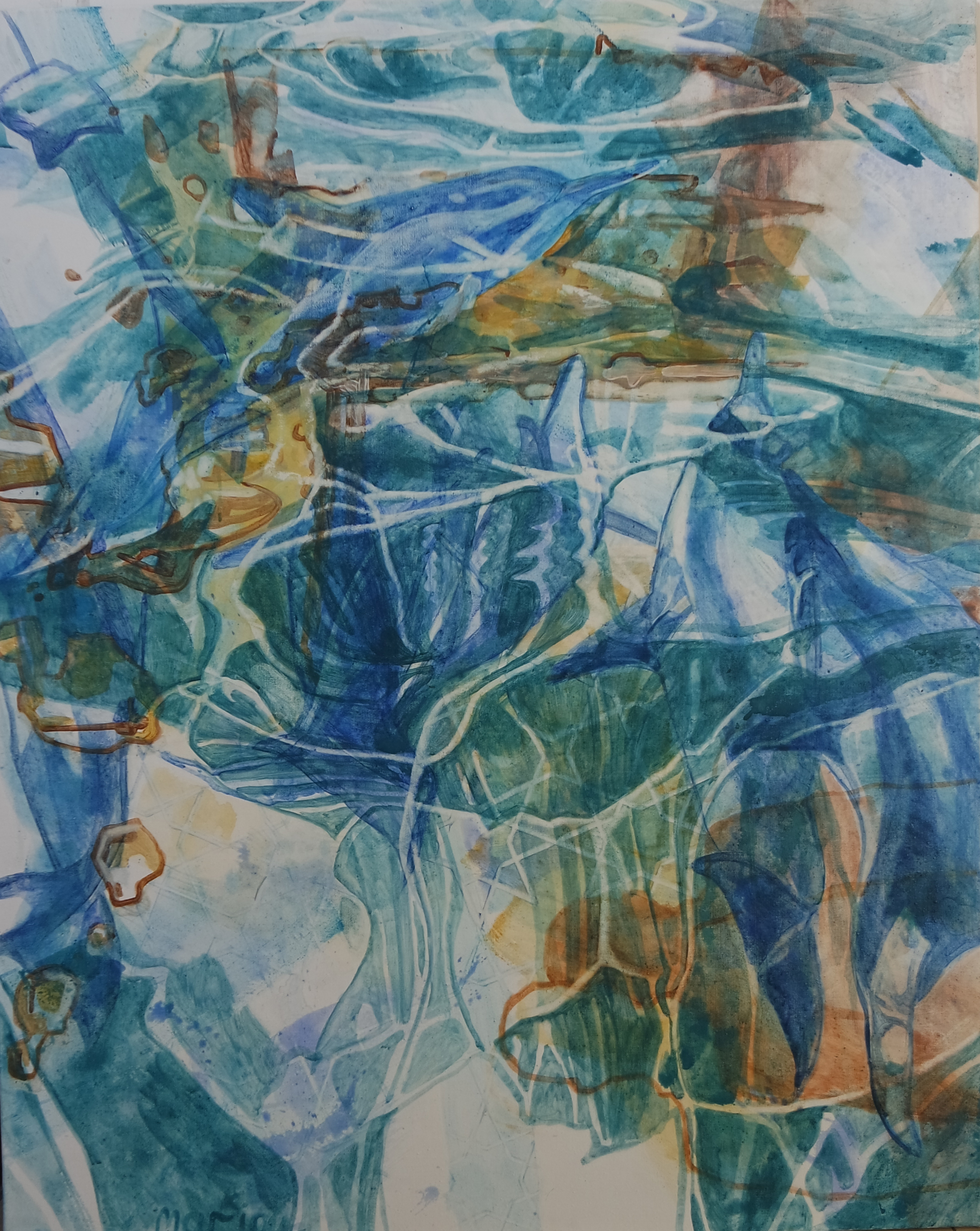 SAMSUNG CAMERA PICTURES