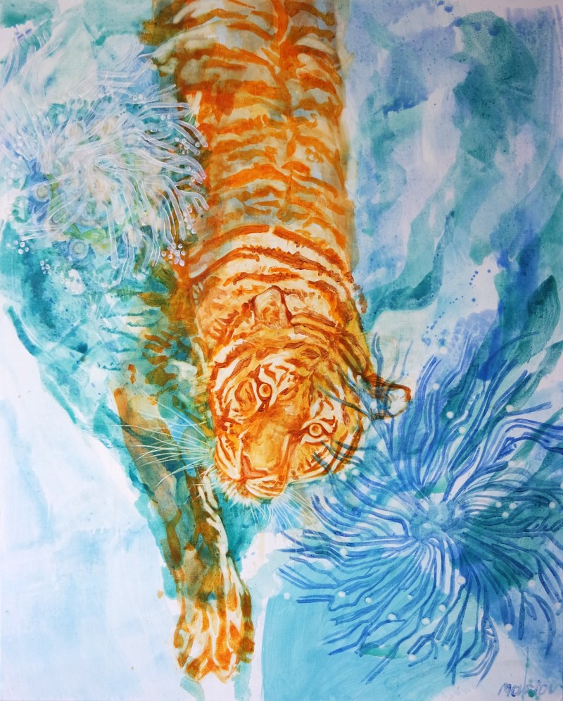 SAMSUNG CAMERA PICTURES