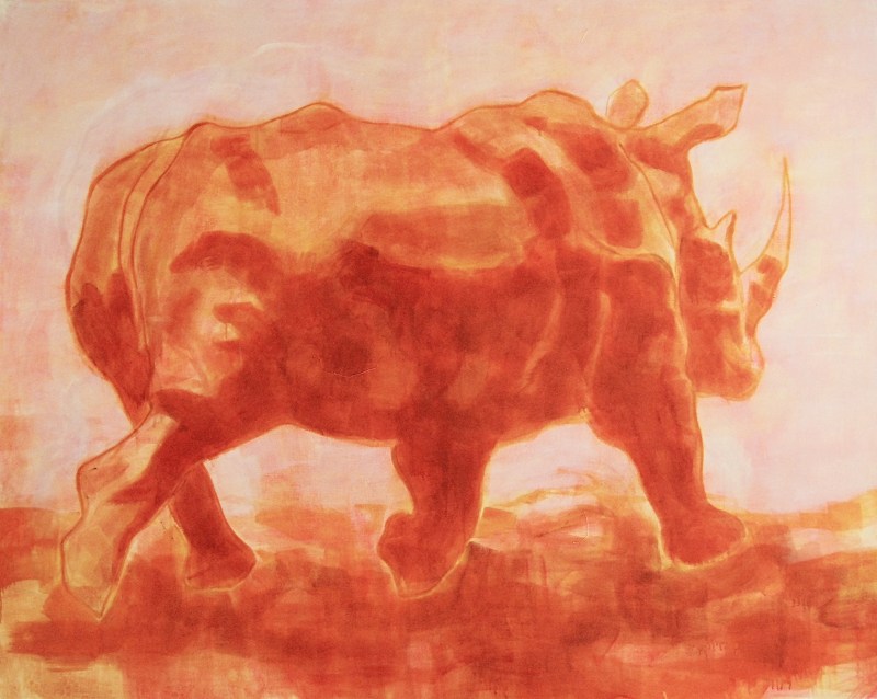 Diplomarbeit_nashornbild_photo_alex