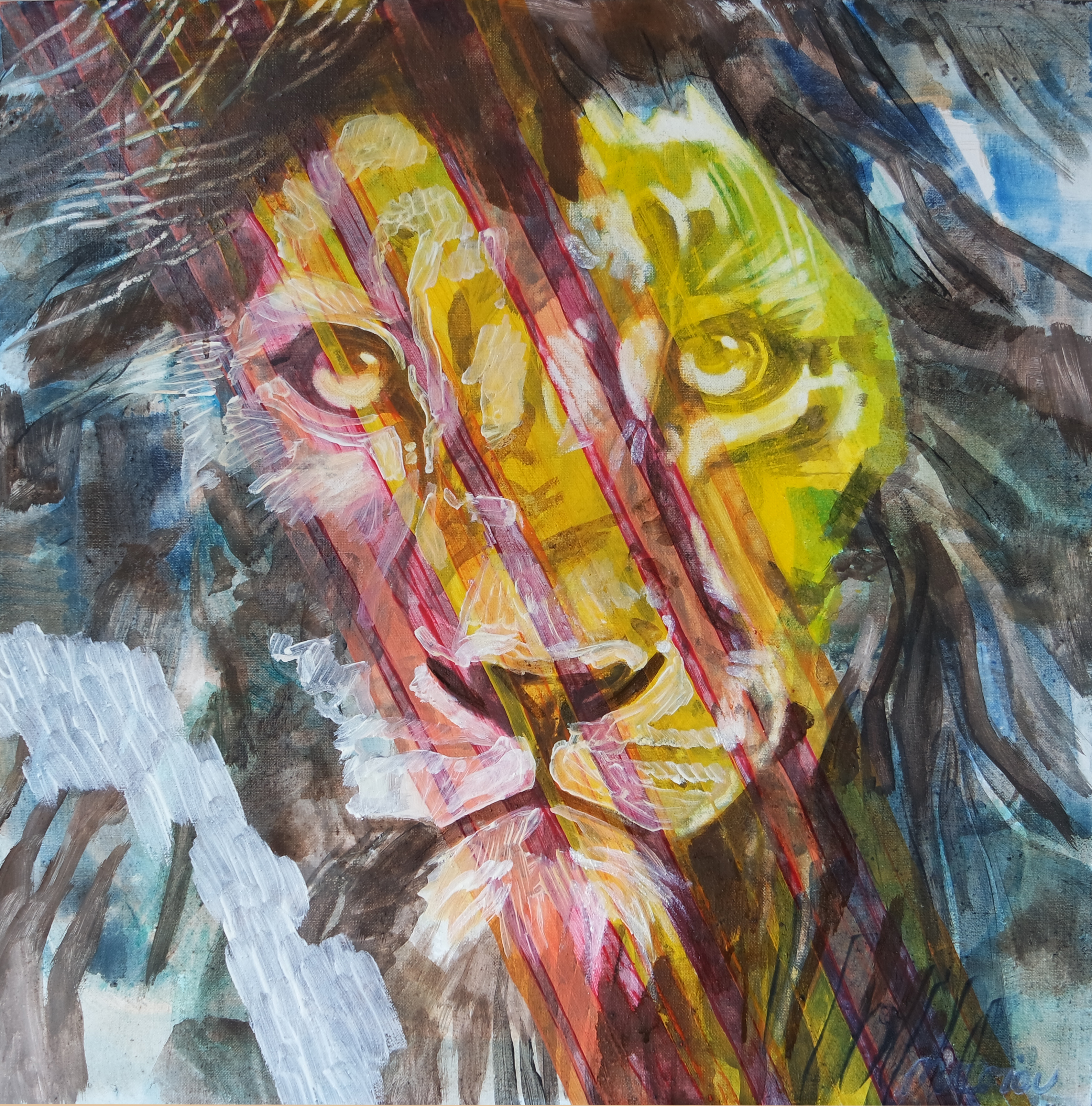 SAMSUNG CAMERA PICTURES