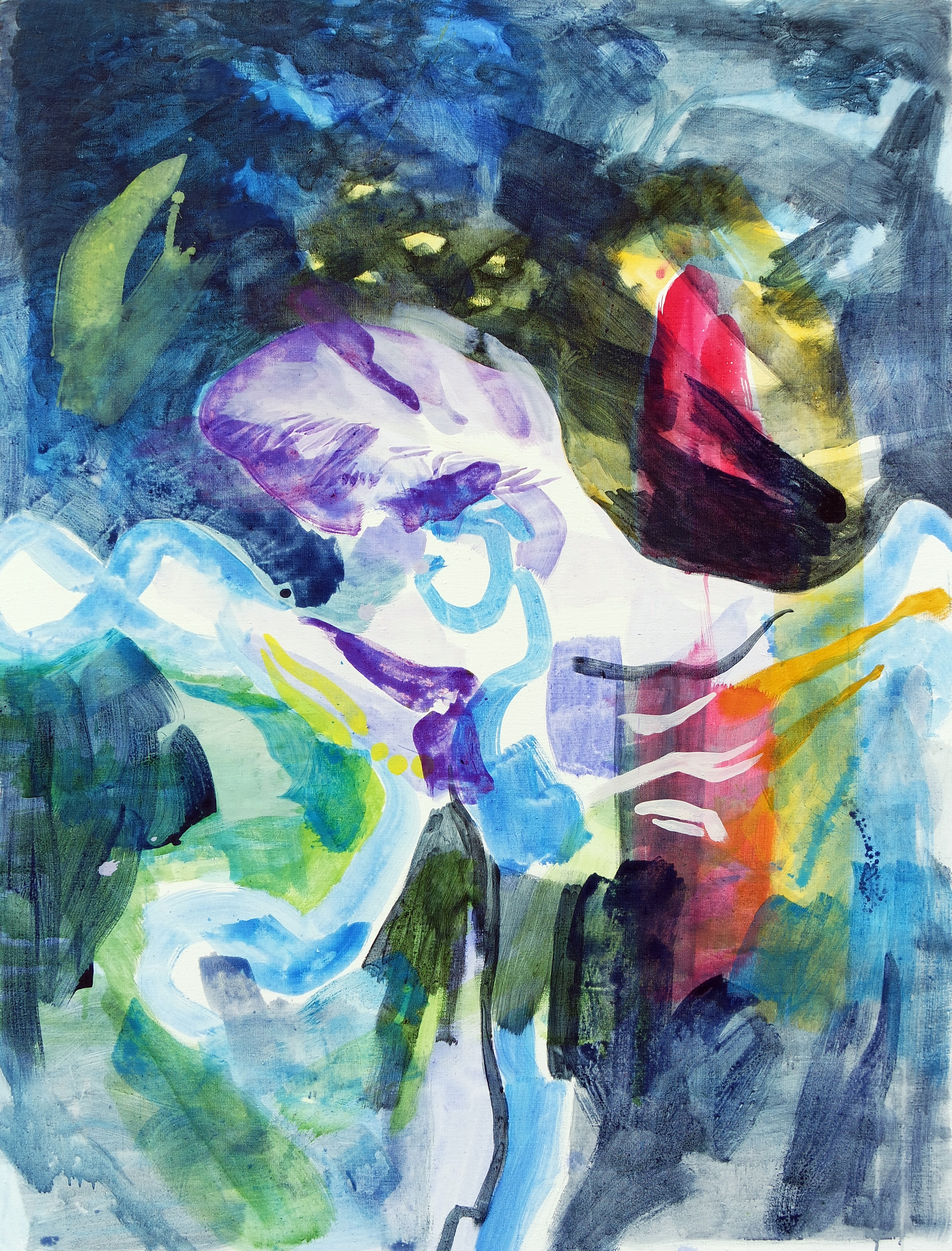 SAMSUNG CAMERA PICTURES