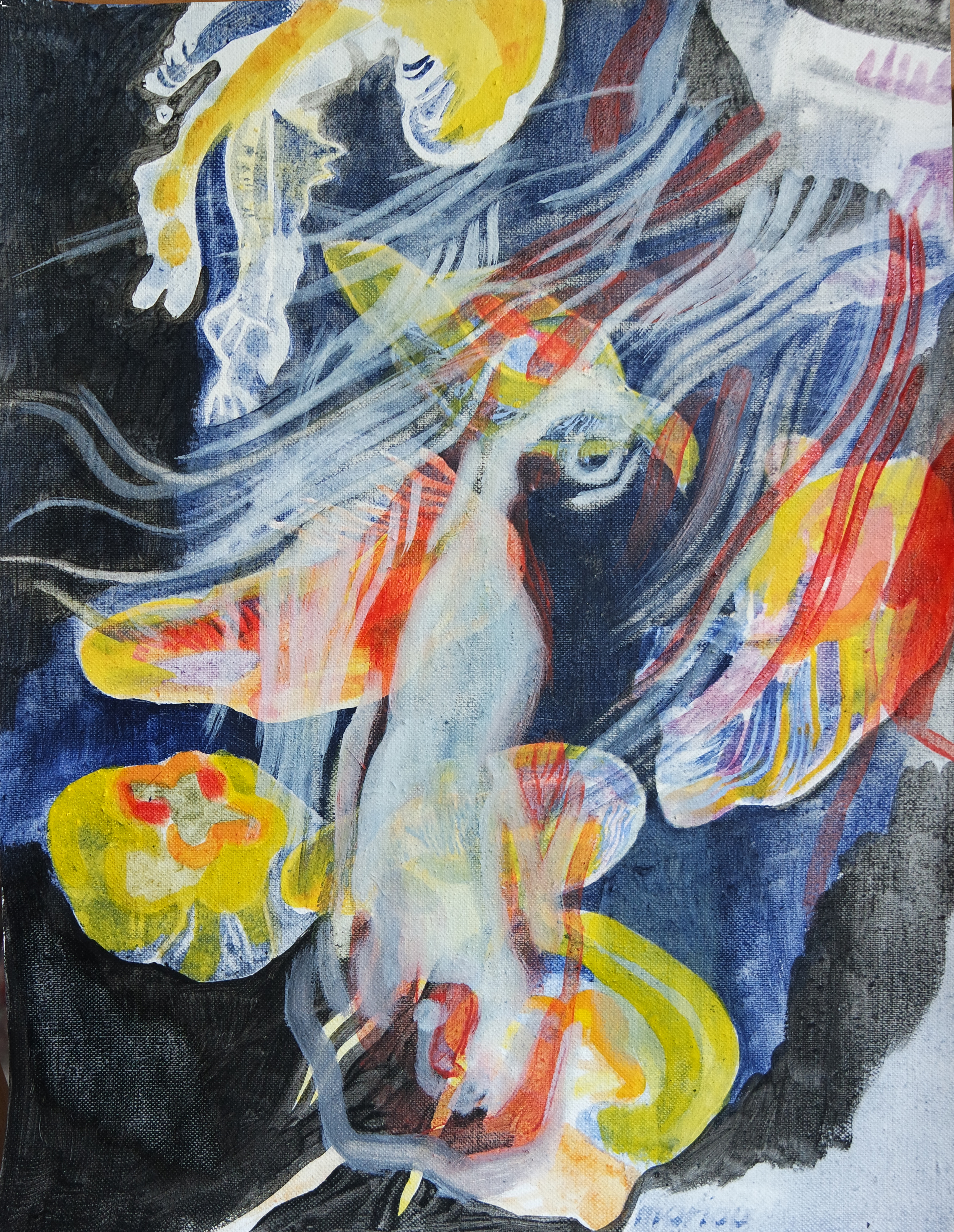 SAMSUNG CAMERA PICTURES